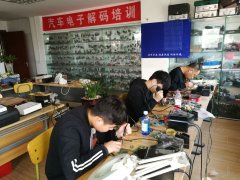 熟女逼逼高清网址